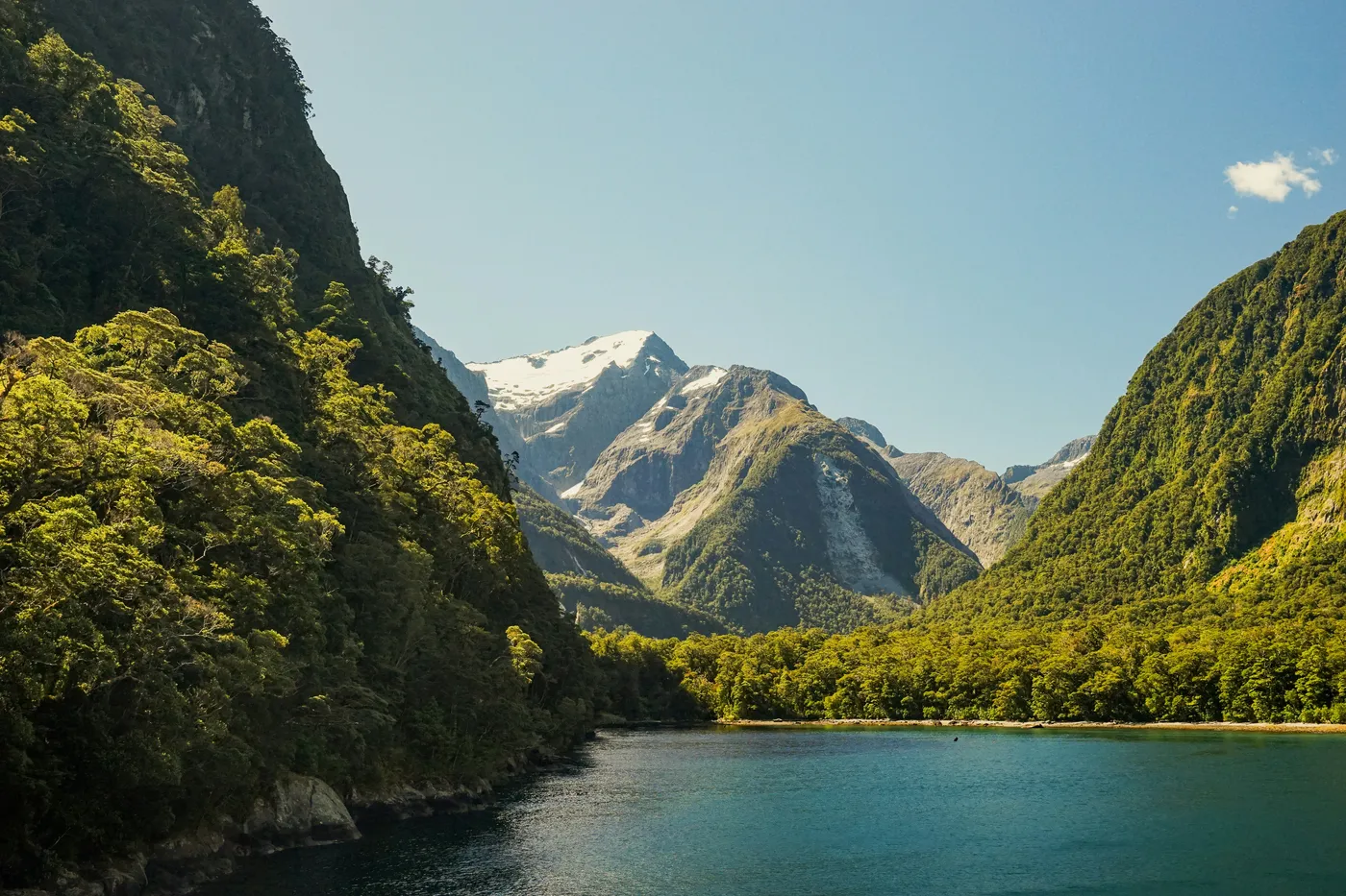 Milford Sound — Lot widokowy + rejs