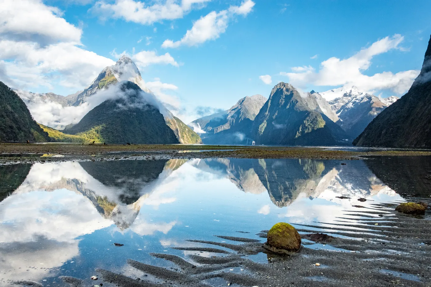 Fiordland Discovery