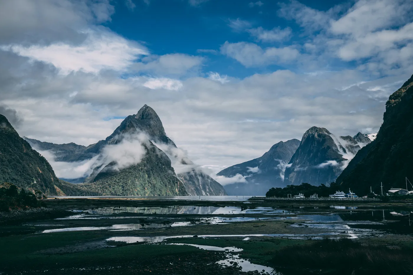 Mitre Peak Cruises